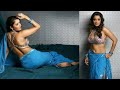 Actress Nikita Thukral Hot Navel Saree Hot Scene Hot Hip Hot Scene