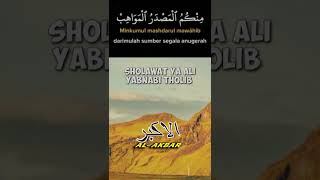 Download lagu Sholawat Ya Ali Yabnabi Tholib mp3