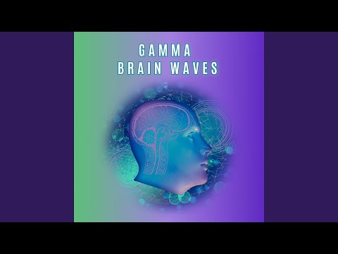 Gamma Waves for Studying & Memory