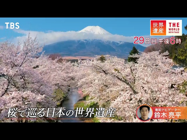 世界遺産🈖🈑