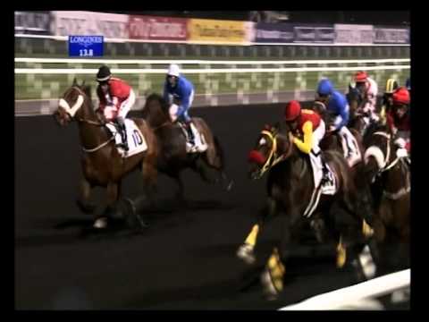 Dubai Golden Shaheen 2012 Review