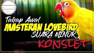 Download lagu mp3 bobmarley Lovebird konslet habis mp3