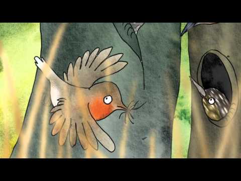 Sekretne życie ptaków - część 3