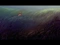 Bambi Man REMASTERED SCORE