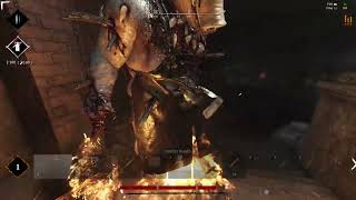 Hunt  Showdown BOOB DROP