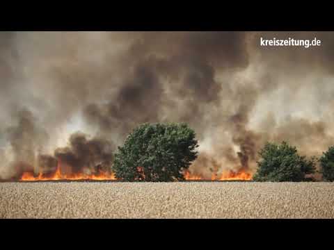Flächenbrand bei Bassum: 25 Hektar Kornfeld in Flammen