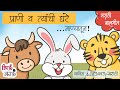 प्राणी व त्यांची घरे Animal Homes Song In Marathi Marathi Balgeet 