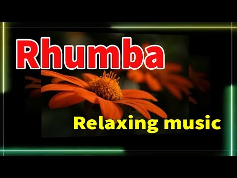 Rhumba melody, Relaxing music for relaxation 2024, Soft melody for you, soft background music