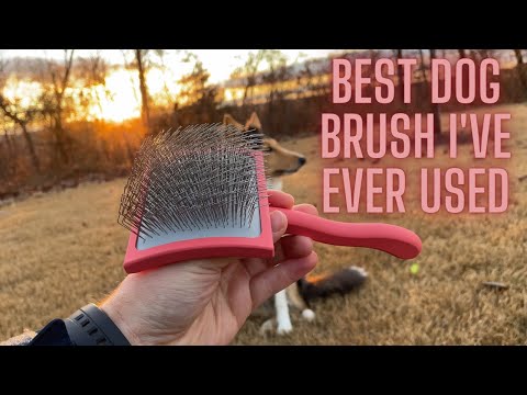 Chris Christensen Big G Slicker Dog Brush | Demonstration and In-depth Review
