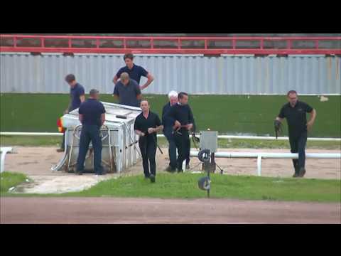 British Bred St Leger - Apache Kid