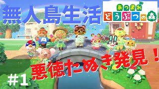 【あつ森実況】あつまれどうぶつの森～悪徳たぬきとたのしい借金ライフ#1