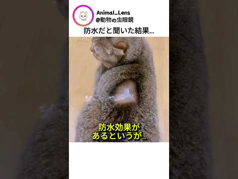 防水だと聞いた結果…