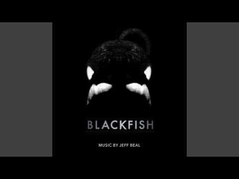 Blackfish