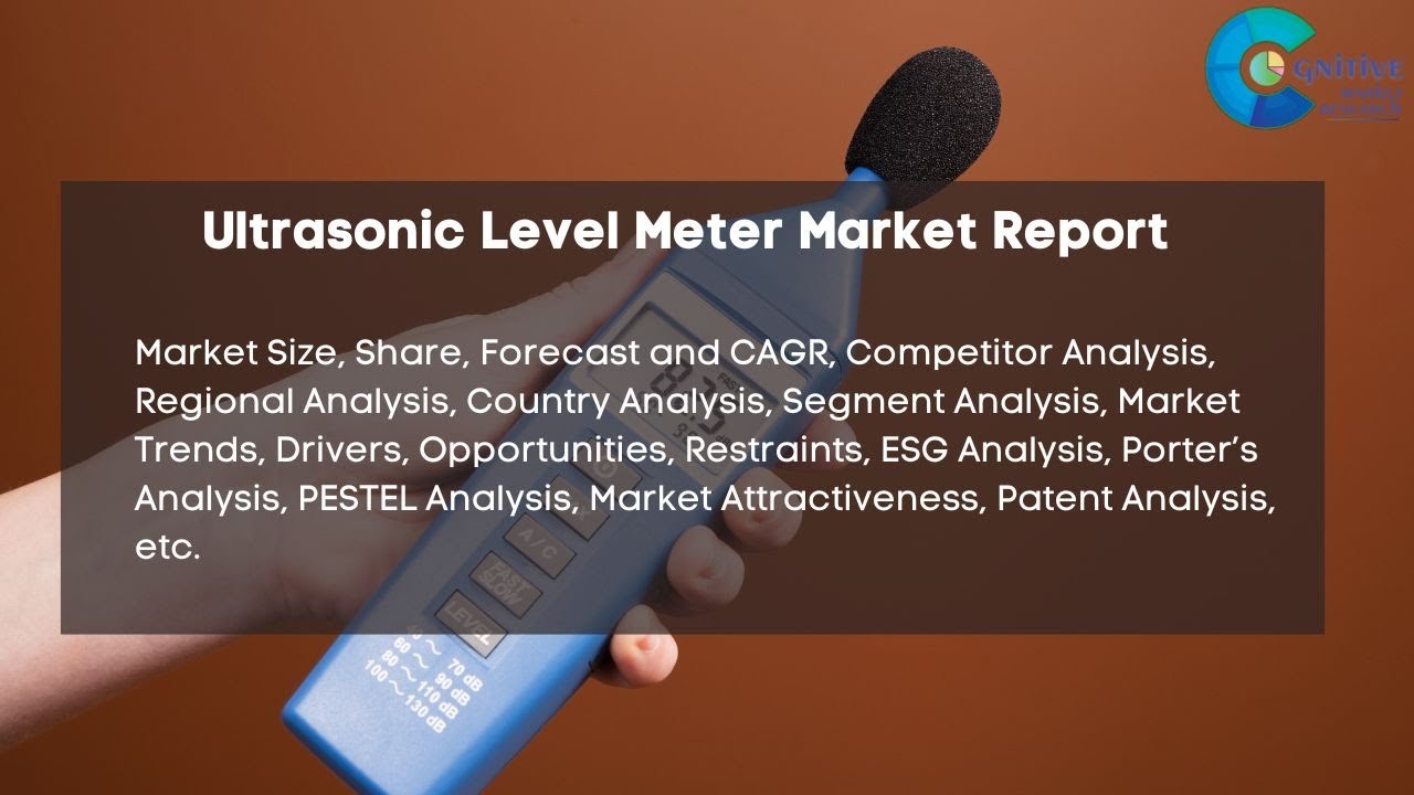 Ultrasonic Level Meter  Market Insights