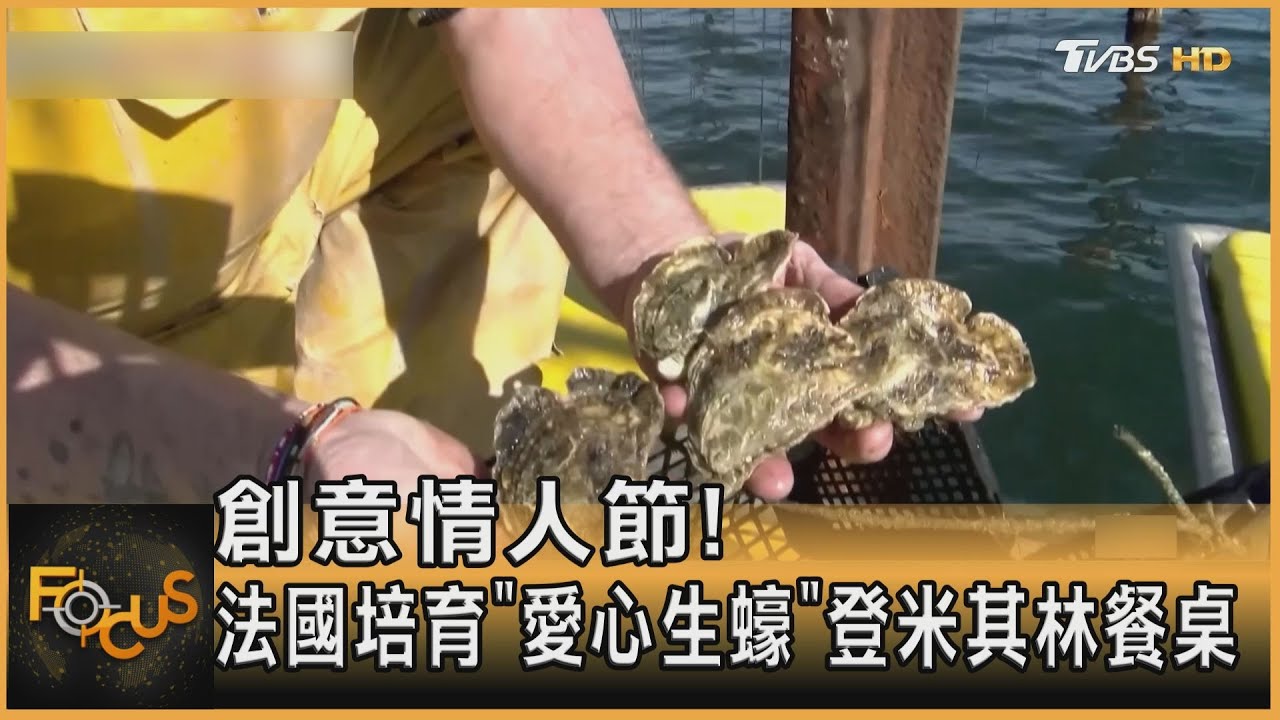 創意情人節!法國培育「愛心生蠔」登米其林餐桌