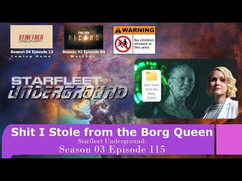 Shit I Stole from the Borg Queen