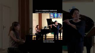Download lagu ブラームス: 交響曲第1番 ハ短調 第4楽章フルートソロよりJ. Brahms: 4. Satz Flöten solo/Sinfonie Nr. 1 c moll 【フルートとピアノ】#shorts mp3