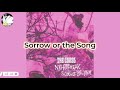 The Coral - Sorrow or the Song [karaoke]
