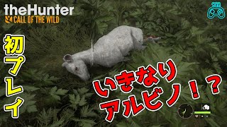 【theHunter: Call of the Wild】初心者ハンターがアルビノ鹿を狩る【タカボー】
