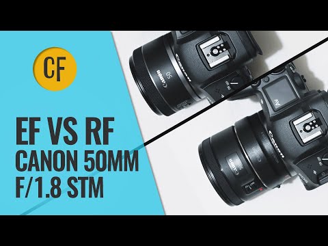 Video thumbnail for Canon RF 50mm f/1.8 STM review 2