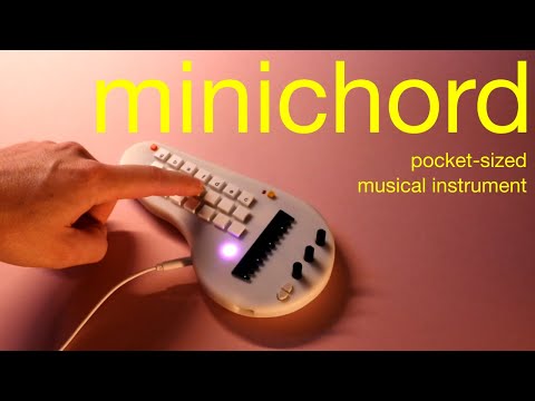 Minichord Synthesizer image 5