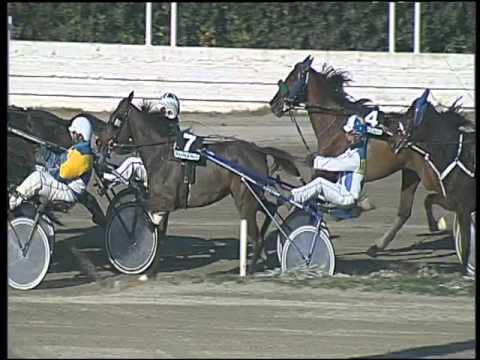 Trotto 27/12/2015 - 1° corsa