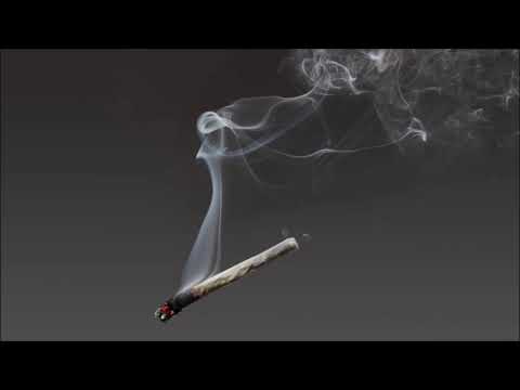 IX. Young Master - Cigari, Brat