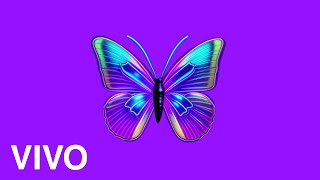 Gutta bitch-Lil Drazzy