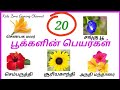 20 Flower Names In Tamil Flowers Name In Tamil Kids Educational Videos Kzgc