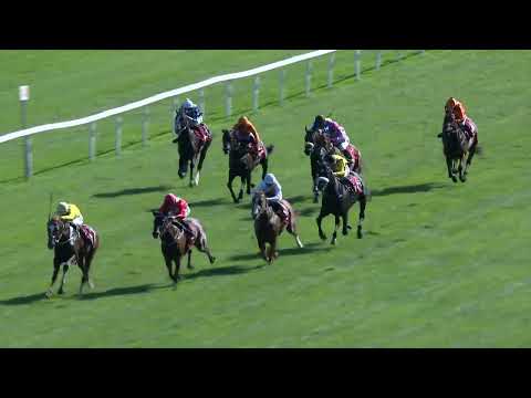 Dostihy Chuchle Arena Praha 17. 9. 2023 - 3. dostih - Cena Unicredit Bank