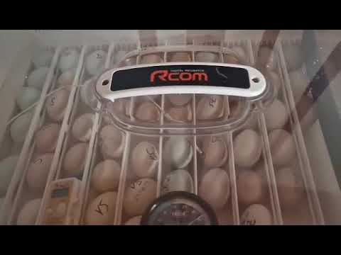 Vorstellung des RCom 50 Max Inkubator