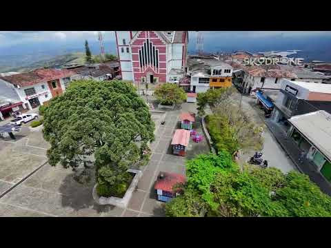2 PALESTINA CALDAS FPV