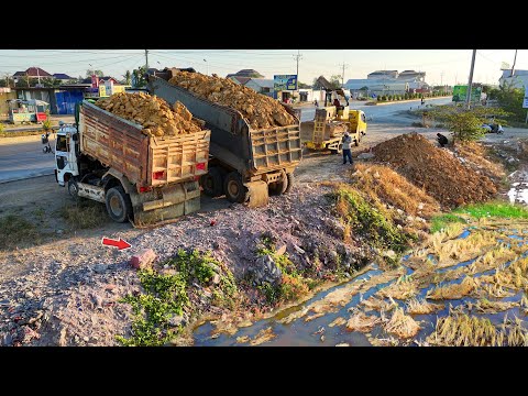 Full Video! Processing New Landfill Task! By Dump Truck 25.5Ton & Dozer Pushing Stone Huge Size!! 