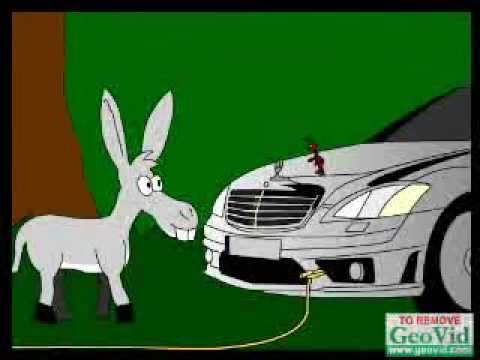 polo polo - el burro y la hormiga