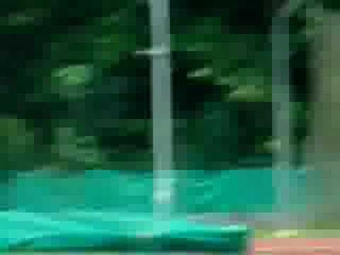 SAA 2007 4x200m 'B' div girls heats