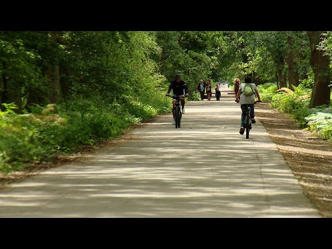 L' écocampus du Madrillet suspendu par la Métropole