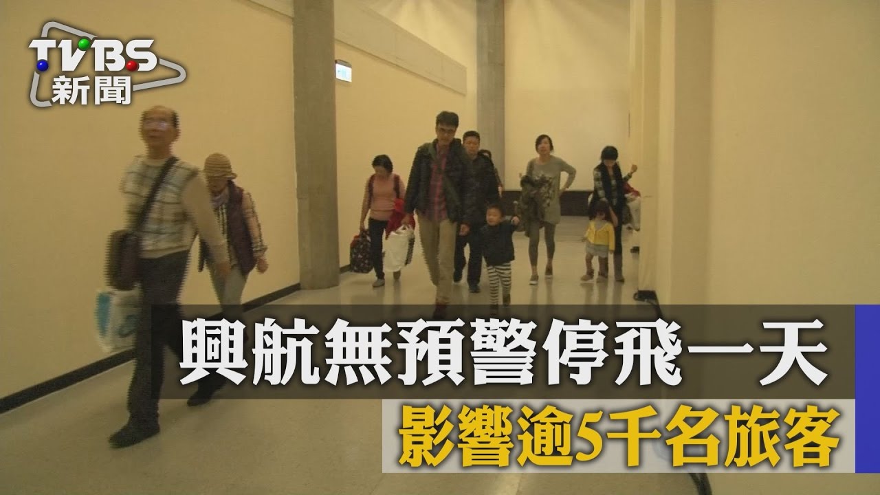 興航停飛大亂！　旅行社、遊客改票應變