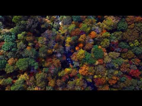 Chillout. Seven24 & Soty Feat Maria Opale - Don't You Cry  (Anton DelaiTech Remix)