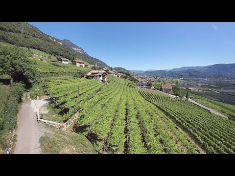 Video 6 aus  Finkenhof