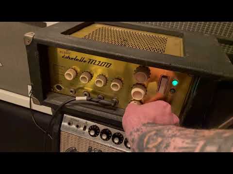 Klemt Echolette M100 rare 60s German vintage tube guitar amplifier w/ rare case/stand. See video! image 15