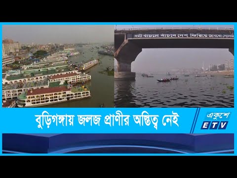মাত্রাতিরক্ত দুষণে বুড়িগঙ্গায় জলজ প্রাণীর অস্তিত্ব নেই