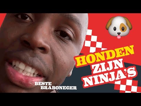 Beste Braboneger #35 - HONDEN ZIJN NINJA'S