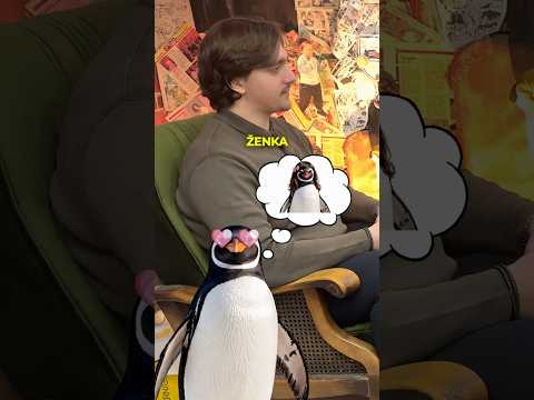 KAKO PINGVINI PROSE SVOJE ŽENKE !?💍🐧
