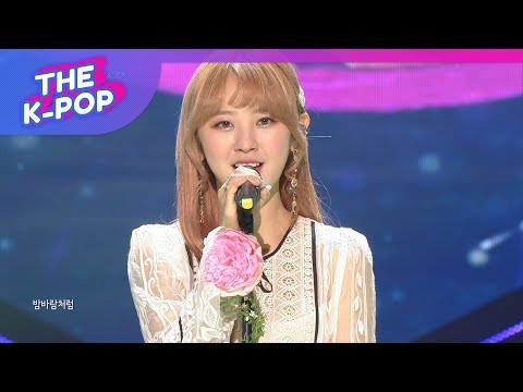 NC.A, awesome breeze [THE SHOW 190528]