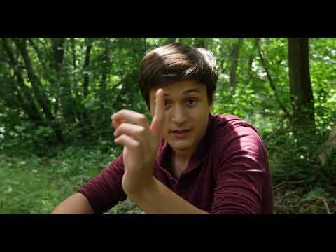 Stage été 2018 - Teaser 2