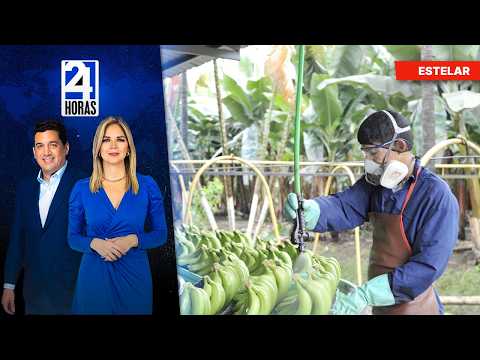 Noticias, miércoles 4 de marzo del 2026 | 24 Horas | Ecuador