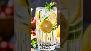 칵테일만들기 : 진토닉 = 진 하고 토닉만, 진과토닉, 기본하이볼