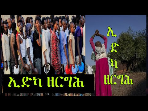 New Eritrean Orthodox Tewahdo Mezmur - Zemarit Senayt Girmay - Edka Zergh  ኢድካ ዘርግሕ -ZARA SELAM