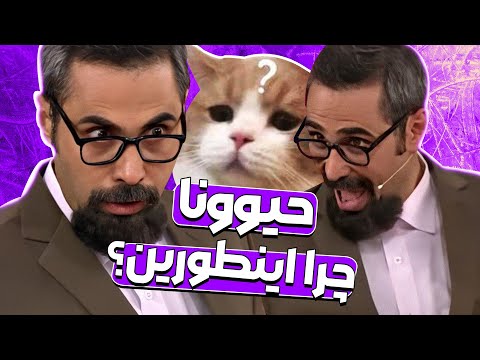 بامزه‌ترین استاد دانشگاه جهان بعد از 5 سال خندوانه رو ترکوند 🤣🤣🤣