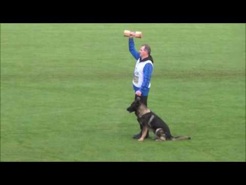 WUSV WK IPO 2016, Johan B